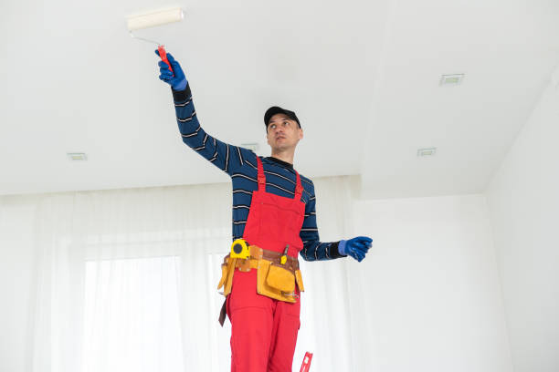 Best Repainting for Renovations  in Lakefield, MN